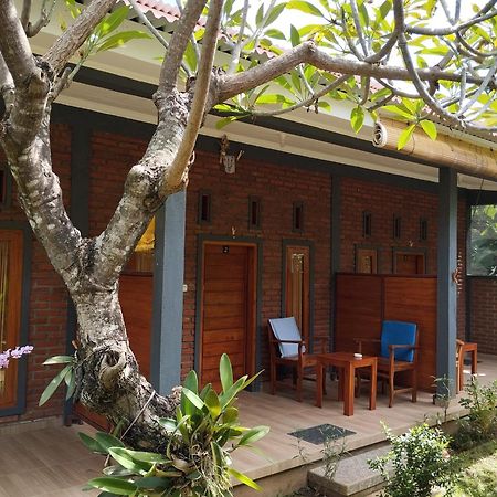 Tunjung Guest House Lovina Beach Pabean Buleleng エクステリア 写真
