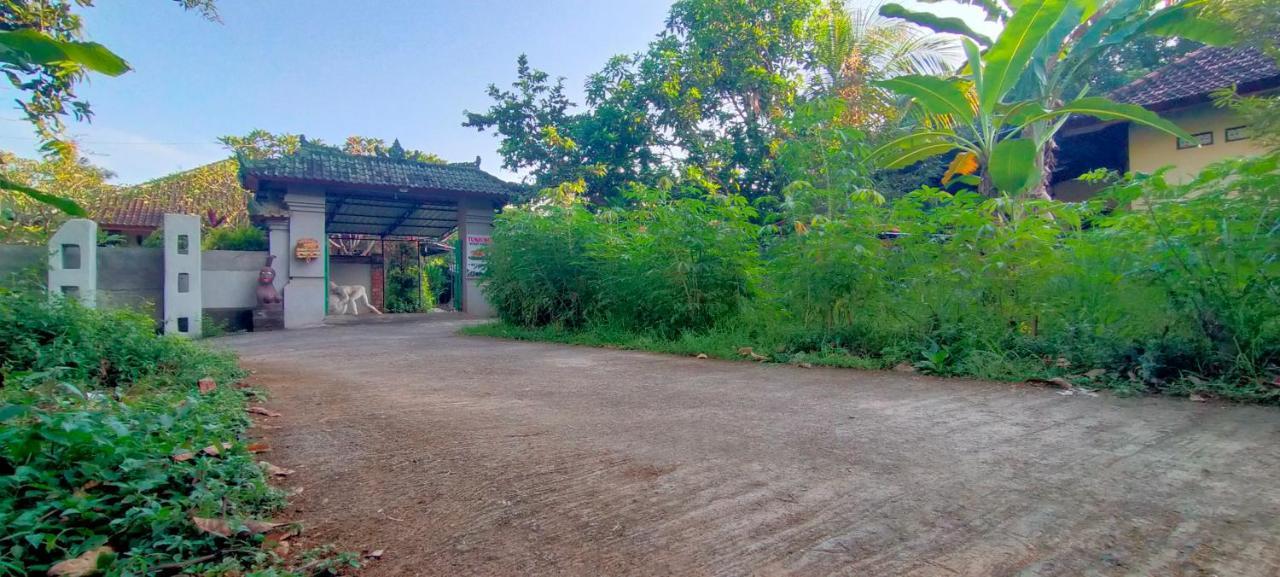 Tunjung Guest House Lovina Beach Pabean Buleleng エクステリア 写真